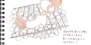 半生のイカ メクバンソク・イカ